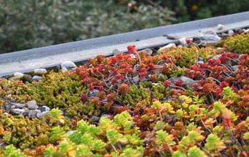 the cost of Stonepits green roof installation