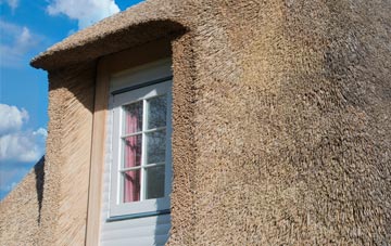 Stonepits thatch roof disadvantages